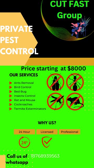 Pests Control