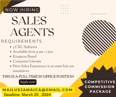 We're Looking For SALES AGENTS!