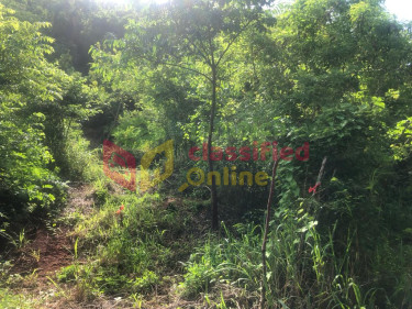 10 ACRES OF DEVELOPMENT LAND Land OLD HARBOUR