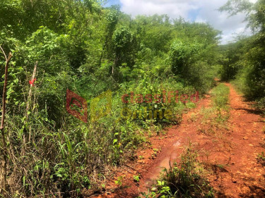 10 ACRES OF DEVELOPMENT LAND