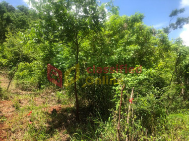 10 ACRES OF DEVELOPMENT LAND