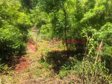 10 ACRES OF DEVELOPMENT LAND