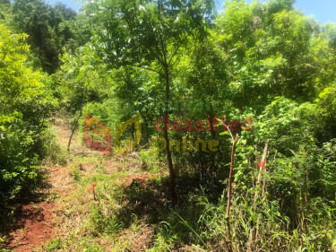 10 ACRES OF DEVELOPMENT LAND