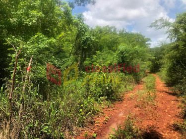 10 ACRES OF DEVELOPMENT LAND