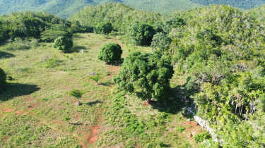 Land For In St Catherine