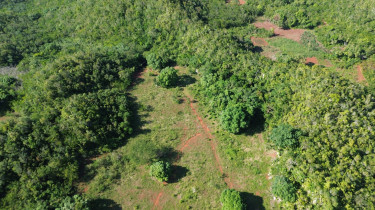 Land For In St Catherine
