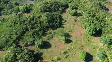 Land For In St Catherine