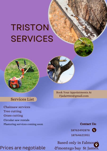 Triston Services