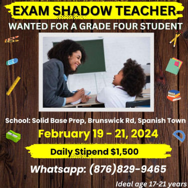 Exam Shadow Teacher