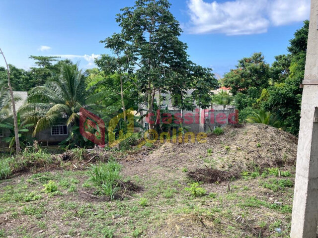 2 Lots For Sale In Orchard Housing Scheme, Hopewel