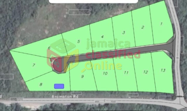 Land For Sale - Belle Estate, Luana St  Elizabeth Land Luana