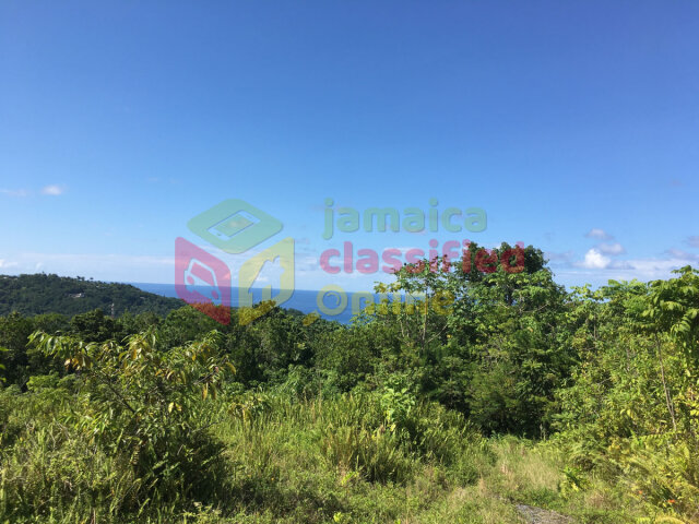 40 Acres Of Land Land Fairy Hill
