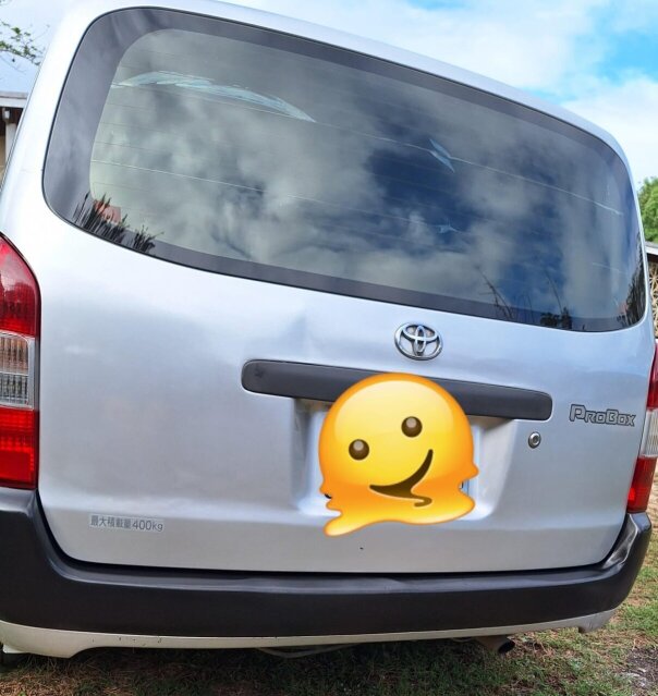 2015 Probox