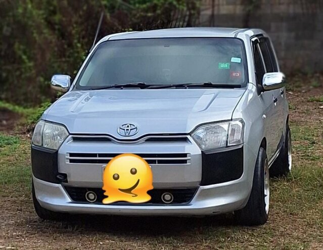 2015 Probox