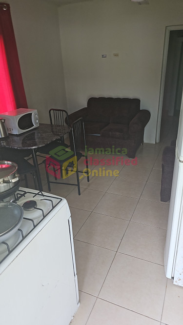 1 Bedroom APARTMENT FULLY FURNISHED