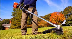 Tree And Grass Cutting  With Chain Saw Weed Wacker