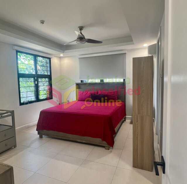 Tastefully Furnished 2 Bedroom Luxury Apartment