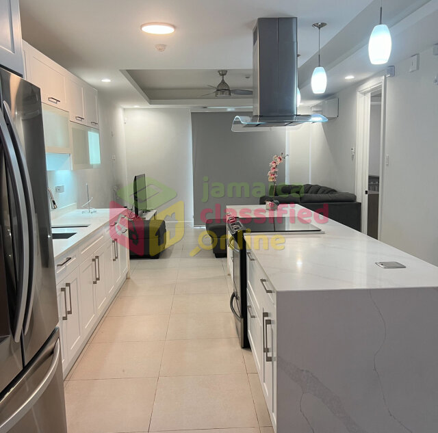 Tastefully Furnished 2 Bedroom Luxury Apartment