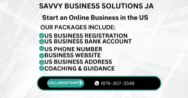 Start An Online Business In The US((876) 307-3346)