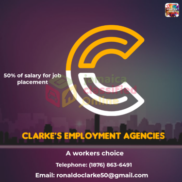 Find Job Now Full Time Jobs Kingston