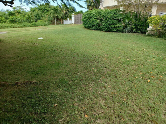 1 Bedroom 1 Bath Studio Apartment Adults Only