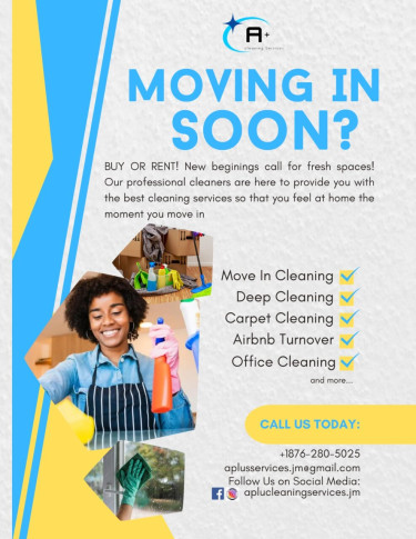 Cleaning Services