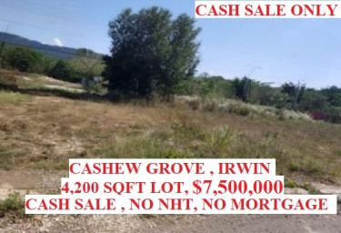 CASHEW GROVE 4,200 SQFT FLAT LAND $7.5 MILION