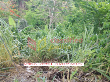 1/3 ACRE LOT MCREARY, HOPEWELL