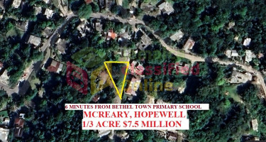 1/3 ACRE LOT MCREARY, HOPEWELL