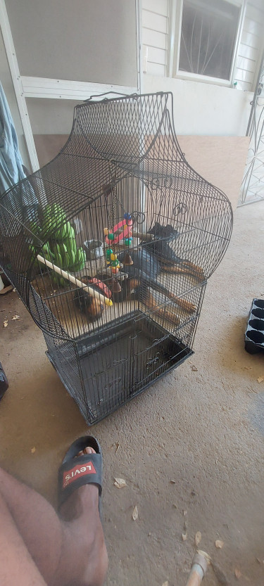 Bird Cage Big 