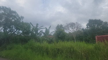 Mandeville Land: 1/4 Acre Residential Lot