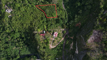 Land For Sale Gibraltar Estate Oracabessa 