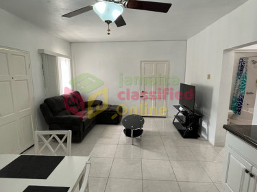  1 Bedroom Furnished Apartment