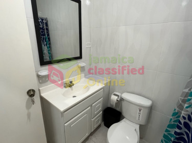  1 Bedroom Furnished Apartment