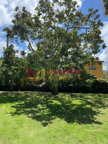  1 Bedroom Furnished Apartment