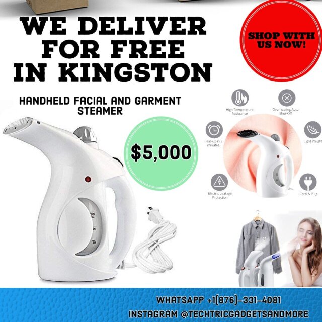 Handheld Facial And Garment Steamer