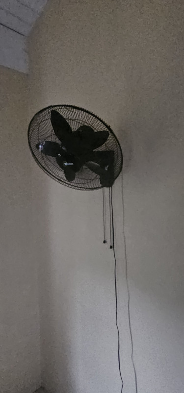 MIGRATE SALE Black Wintek 18 FAN