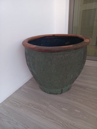 Beautiful Flower Pot With Free Accessories 