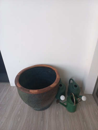 Beautiful Flower Pot With Free Accessories 
