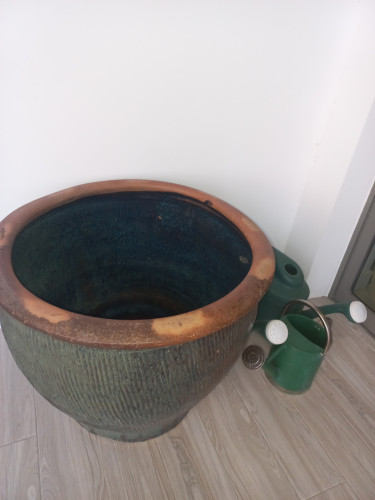 Beautiful Flower Pot With Free Accessories 
