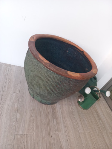 Beautiful Flower Pot With Free Accessories 