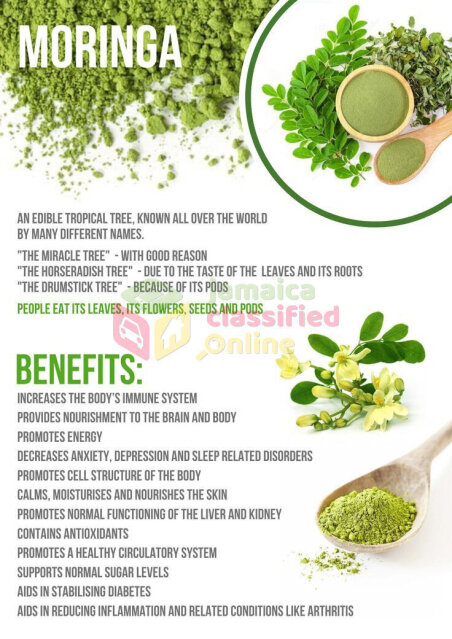 Moringa Seeds And Leaves Healthcare Services JoelServices