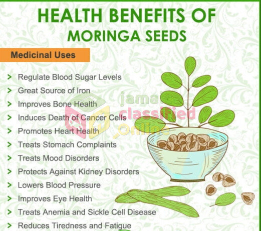 Moringa Seeds And Leaves