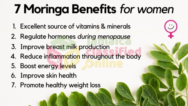 Moringa Seeds And Leaves