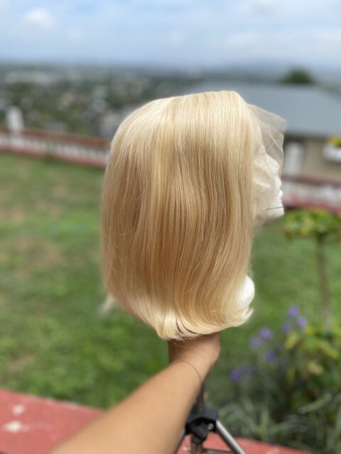 Human Hair Wigs