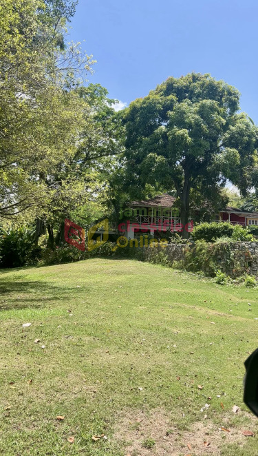 10 Bedrooms 7 Baths 4 Acres Multiple Houses