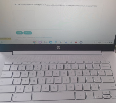 Hp Chromebook Laptop