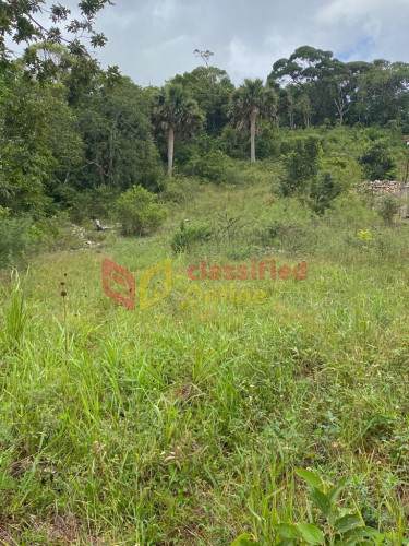 1/2 Acre Residential Lot Land Top Waltham, Mandeville