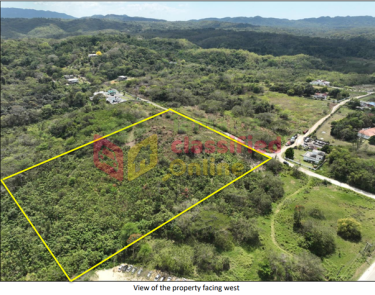 Majestic 5-acre Parcel Of Land In Green Island