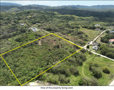 Majestic 5-acre Parcel Of Land In Green Island